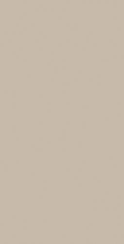 Light Beige Plain Laminate 8x4 ft Suede 1 mm - 161 SU