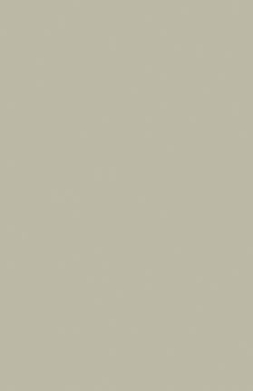 Twilight Beige Plain Laminate 8x4 ft Suede 1 mm - 164 SU