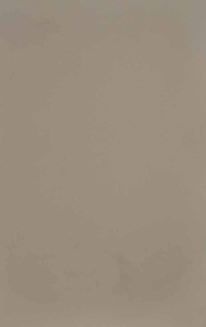 Brazilian Sand Plain Laminate 8x4 ft Texture 1 mm - 168 AFP