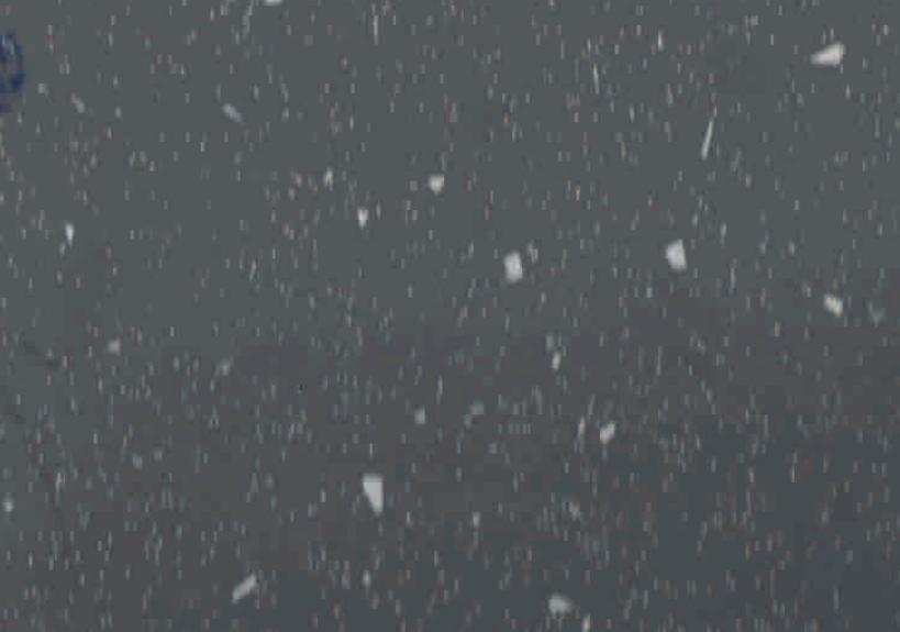 SMT Smoke Grey Wood Laminate 8x4 ft Super Matte 1 mm - 169 GT