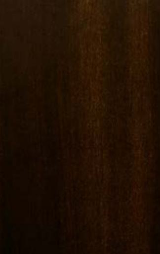 Walnut Wood Laminate 8x4 ft Texture 0.72 mm - 1716 American