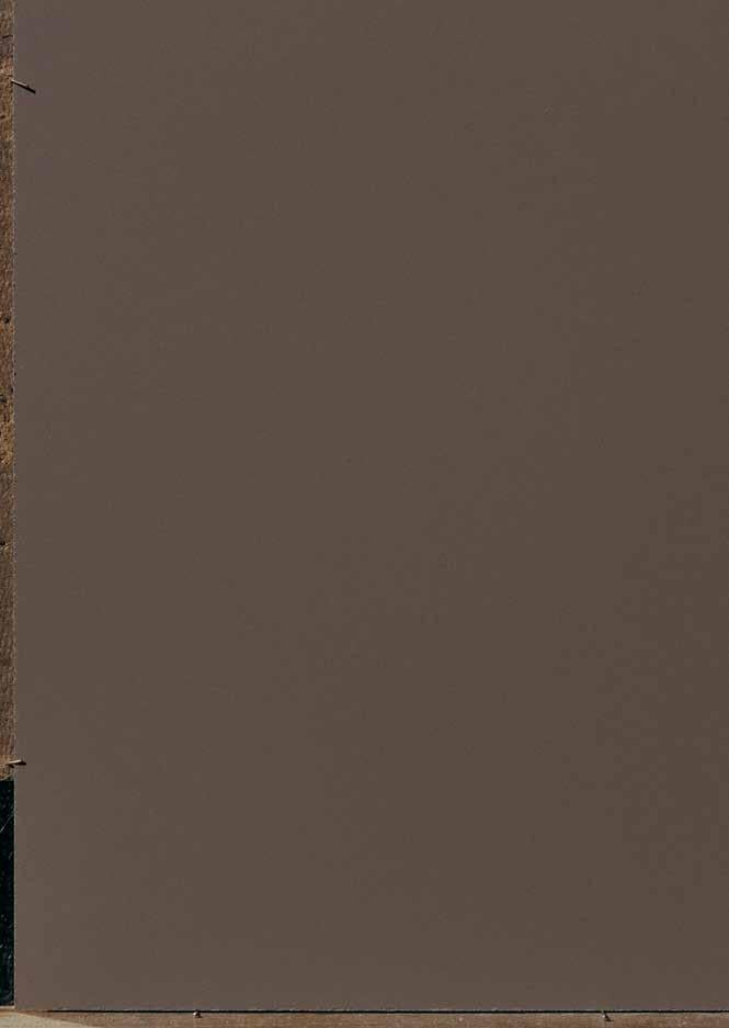 Light Brown Plain Laminate 8x4 ft Texture 1 mm - 171 AFP