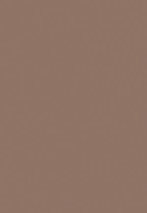 Light Brown Plain Laminate 8x4 ft Suede 1 mm - 171 SU