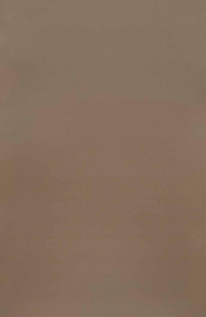 Light Brown Plain Laminate 8x4 ft Texture 1 mm - 171 UL