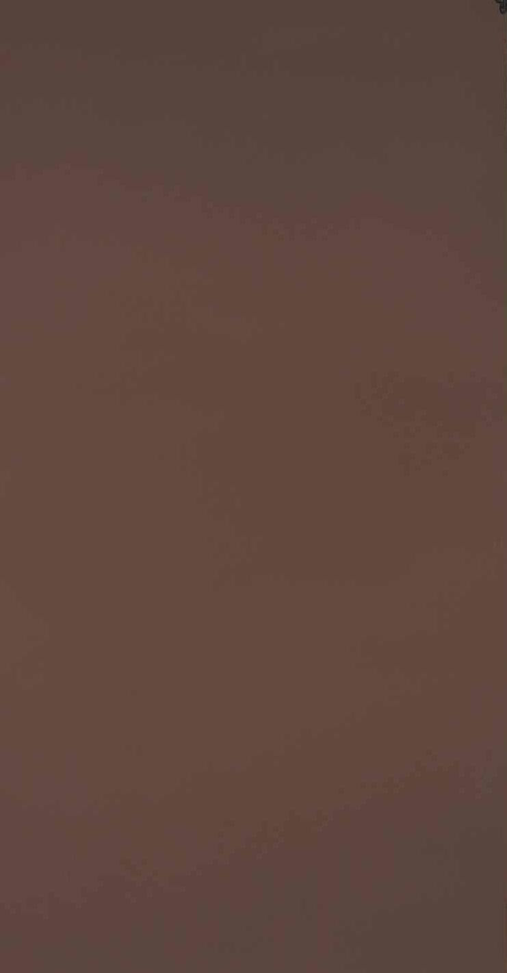 Maddy Mushroom Wood Laminate 8x4 ft High Gloss 1 mm - 172 HG