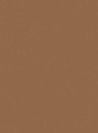 Camel Plain Laminate 8x4 ft Suede 1 mm - 178 SU