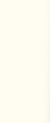 Frosty White Plain Laminate 8x4 ft High Gloss 1 mm - 179 AHG