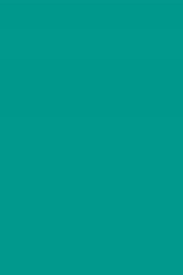 Dream Green Plain Laminate 8x4 ft High Gloss 1 mm - 179 SMR