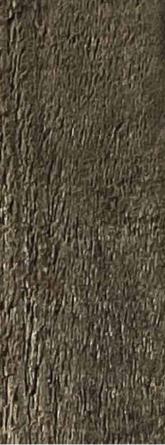 Greenlam Amazon Burnt Wood 8x4 ft marble & stone laminates Brown 1876_PGL