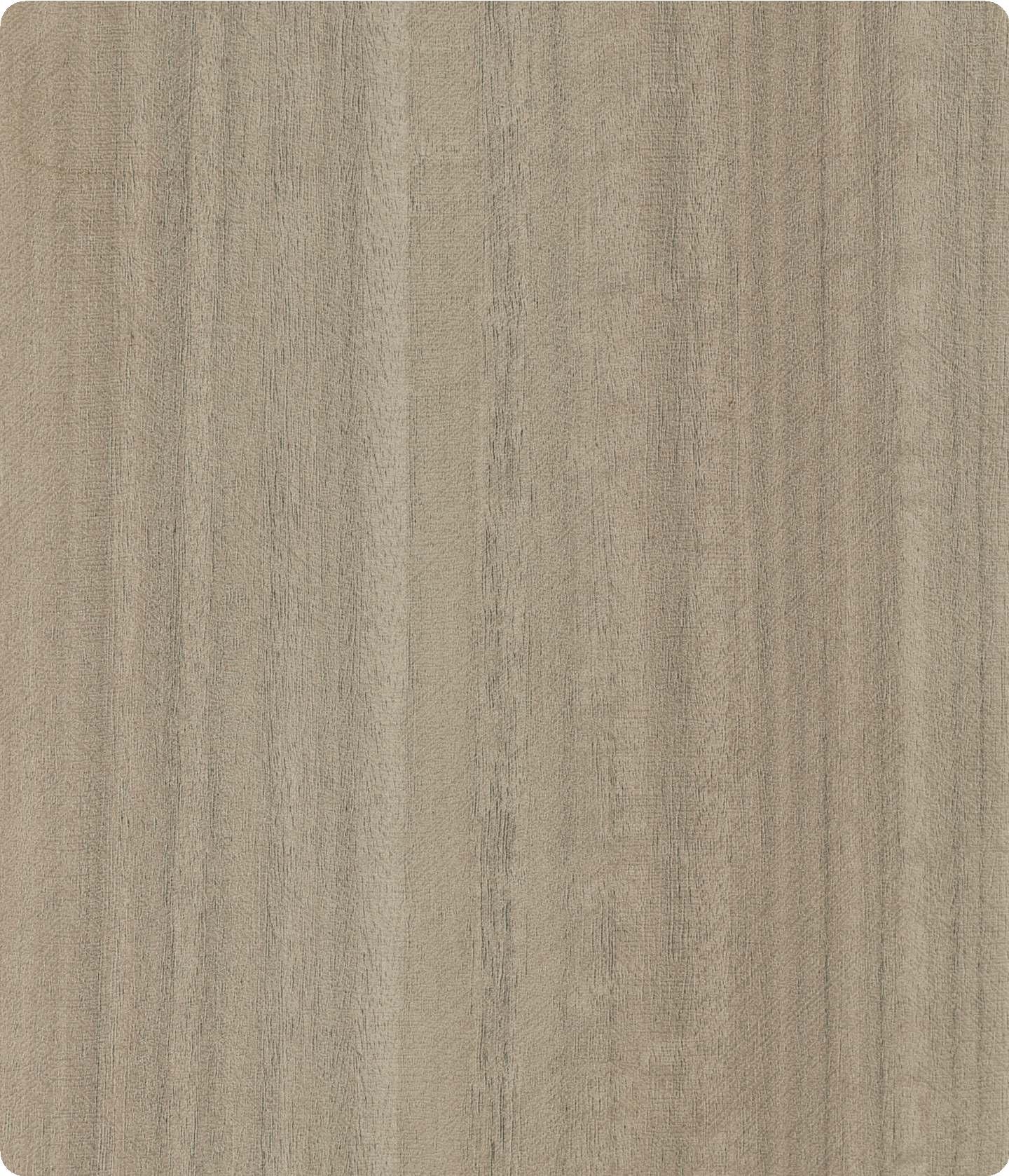 Natural Birch Wood Laminate 8x4 ft Texture 1 mm - 1905 RST
