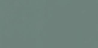 Acacia Green Plain Laminate 8x4 ft High Gloss 1 mm - 194 HG