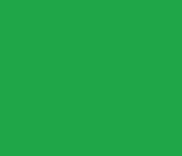 Swadeshi Green Plain Laminate 8x4 ft Glossy 0.8 mm - 195 GL