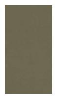 Virgo 3 Mica Hanger Pastle Colours Aloevera 8x4 ft Texture plain colors laminates Green 1960_SHG