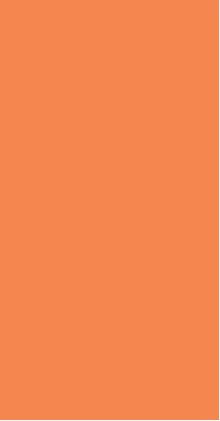 Oliviya Laminates Oliviya 800 Plain Solid Colour Orange 8x4 ft Texture plain colors laminates Orange 1990_PHG