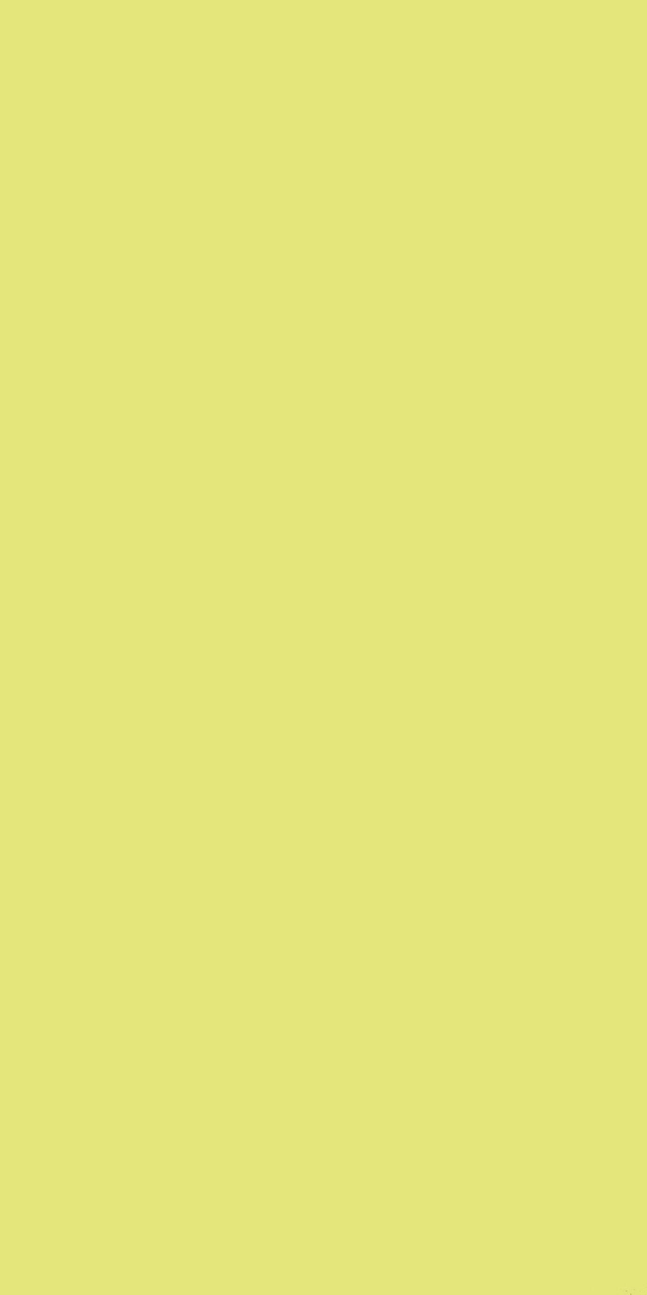 _ Plain Laminate 8x4 ft Suede 1 mm - 206 SF