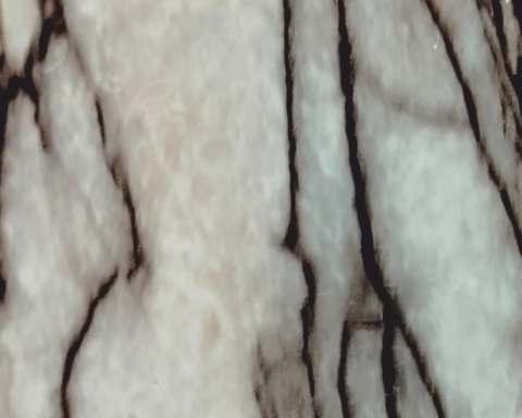 Marble & Stone Laminate 8x4 ft High Gloss 1 mm - 207 8