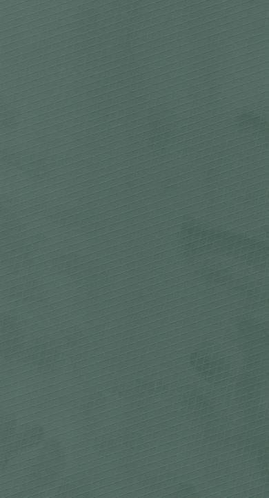 Avocado Green Designer Laminate 8x4 ft Texture 1 mm - 209 KK