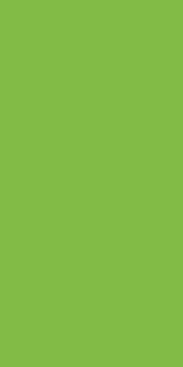 + Plain Laminate 8x4 ft High Gloss 1 mm - 21143 MR+