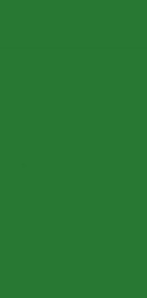 Parrot Green Plain Laminate 8x4 ft Suede 1 mm - 2173 SF