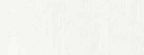 Arctic White Wood Laminate 8x4 ft Texture 1 mm - 22091 FNW