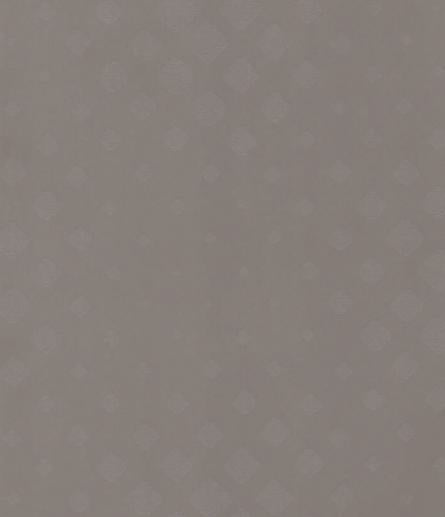 Graphite Grey Designer Laminate 8x4 ft Texture 1 mm - 220 BB