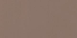 Ash Brown Plain Laminate 8x4 ft High Gloss 1 mm - 221 HG