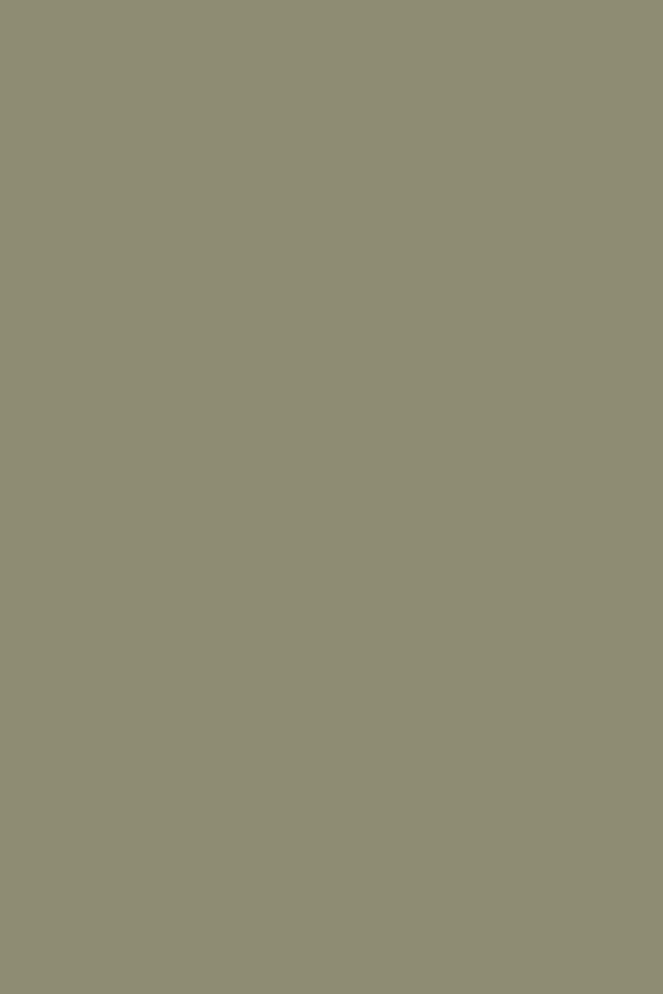 Bone Beige Plain Laminate 8x4 ft High Gloss 1 mm - 2225 MG