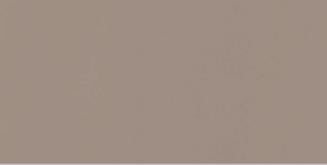 Almond Brown Plain Laminate 8x4 ft High Gloss 1 mm - 223 HG