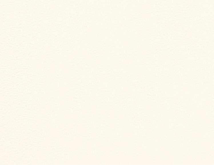 _ Plain Laminate 8x4 ft 1 mm - 2260 S