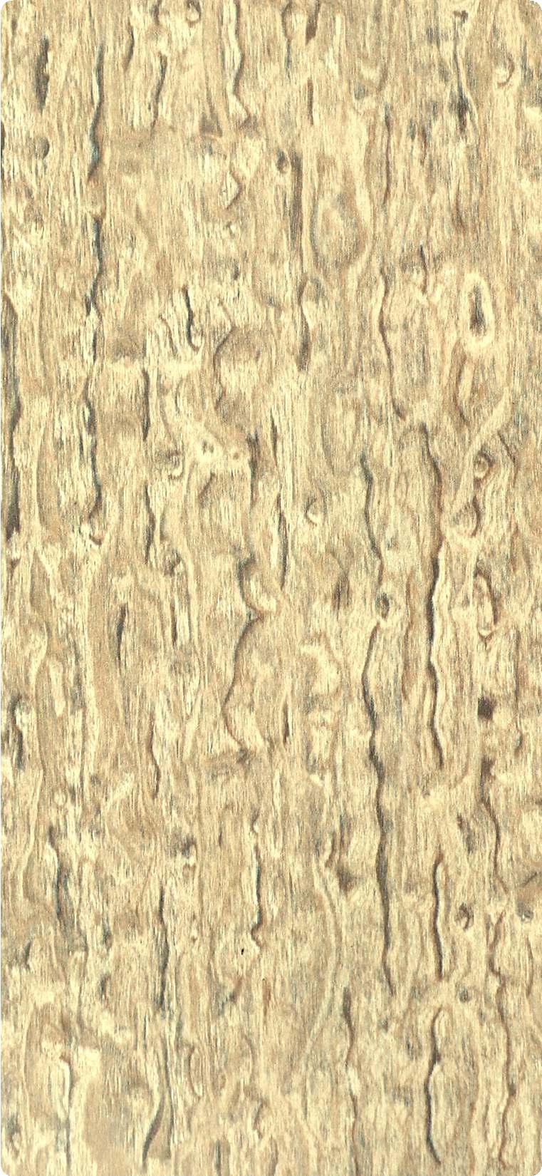 Birdseye Maple Wood Laminate 8x4 ft Texture 1 mm - 2316 MG