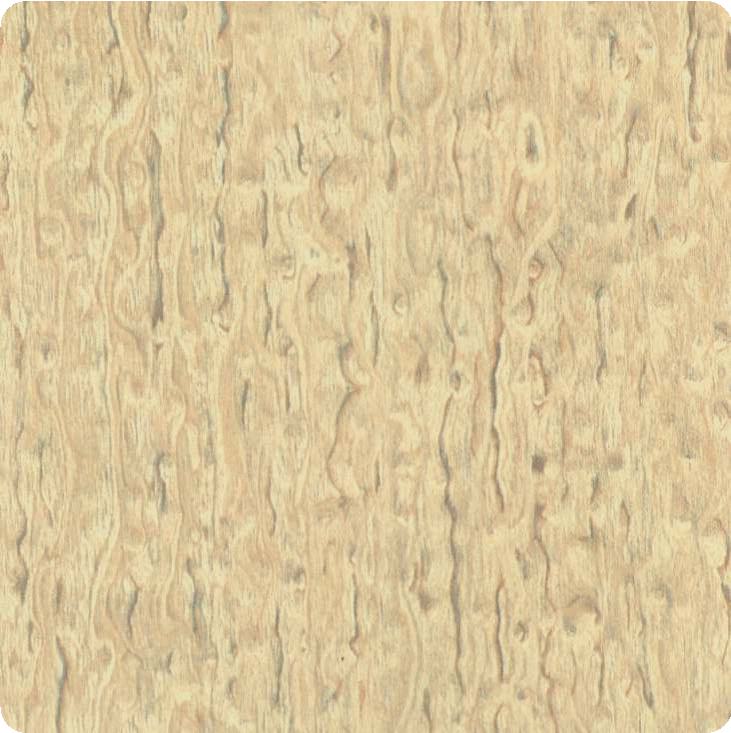 Birds Eye Maple Wood Laminate 8x4 ft Suede 1 mm - 2316 SF