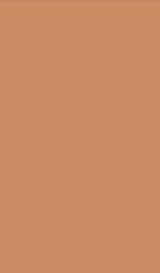 Burnt Sienna Plain Laminate 8x4 ft Texture 1 mm - 236 SMT