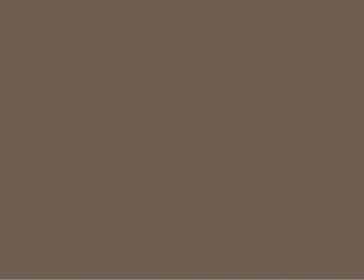 _ Plain Laminate 8x4 ft 1 mm - 2429 G