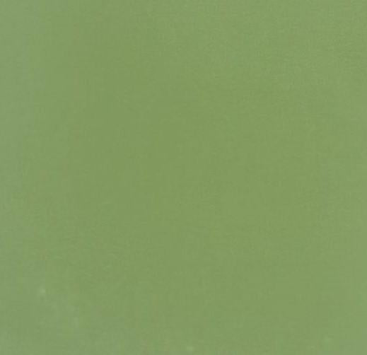 243 smt Prairie Green 8 ft x 4 ft Super Matte Finish  Decorative Laminate - 1 mm