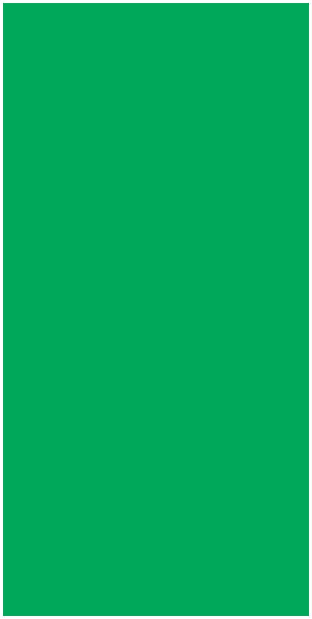 F Green Plain Laminate 8x4 ft High Gloss 1 mm - 264 A12