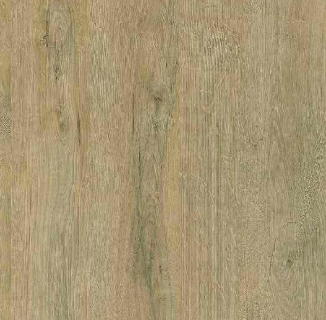 Balkan Grey Oak Wood Laminate 8x4 ft High Gloss 1 mm - 2721 HG