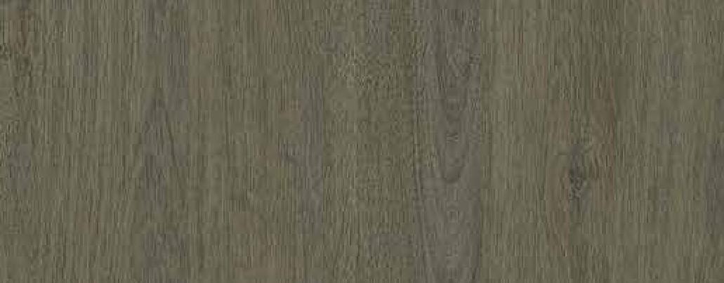 Stylam Slovenian Oak 8x4 ft Texture wood laminates Grey 2725_AC