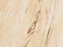 Wood Laminate 8x4 ft Texture 0.8 mm - 2764 CSE