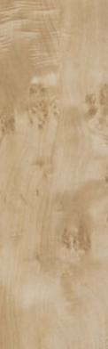Wood Laminate 8x4 ft High Gloss 0.8 mm - 2861 HG