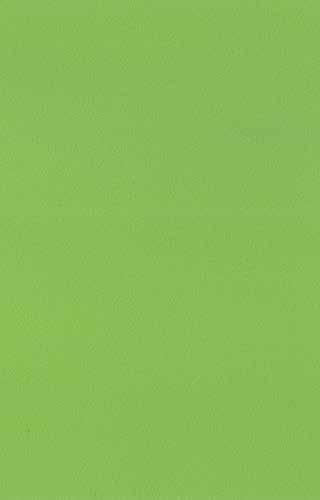 Hawaiian Green Plain Laminate 8x4 ft Suede 1 mm - 287 SU