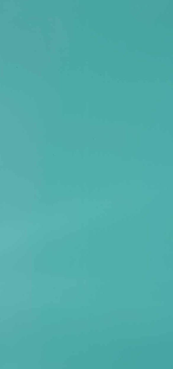 Dream Green Plain Laminate 8x4 ft Texture 1 mm - 288 LU