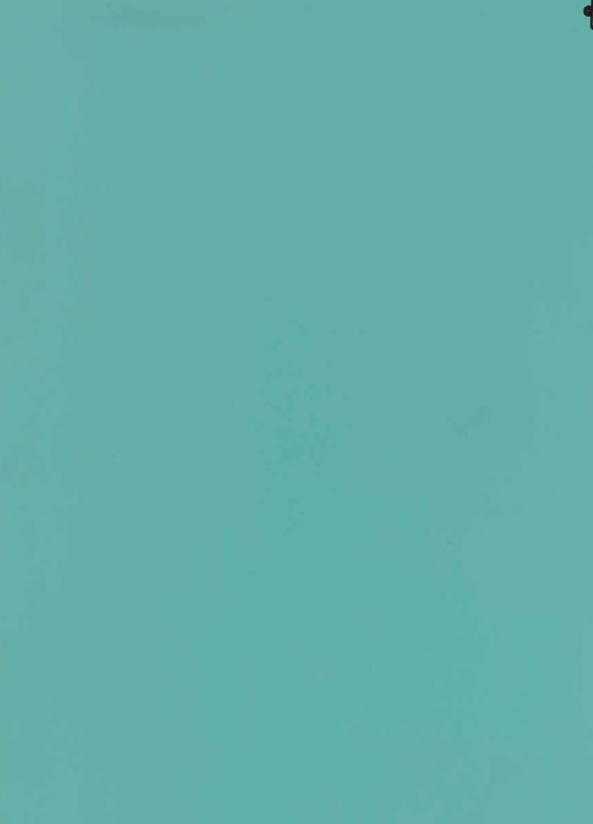 Dream Green Plain Laminate 8x4 ft Suede 1 mm - 288 SU