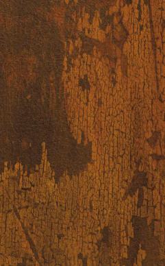 Regal Bark Marble & Stone Laminate 8x4 ft Texture 1 mm - 3103 SML