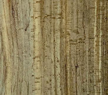 Cremex Sandle Wood Laminate 8x4 ft High Gloss 0.8 mm - 3123 SHG