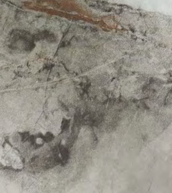Marble & Stone Laminate 8x4 ft High Gloss 0.8 mm - 3143 HG