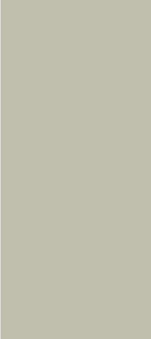 Sage Tawny Designer Laminate 8x4 ft Texture 1 mm - 3189 SMC