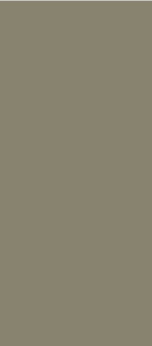 Patrol Oak Designer Laminate 8x4 ft Texture 1 mm - 3190 SMC