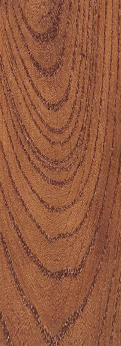 Oliviya 800 Wooden Ash Exotic Maple Wood Laminate 8x4 ft Texture 0.8 mm - 3191 CAW