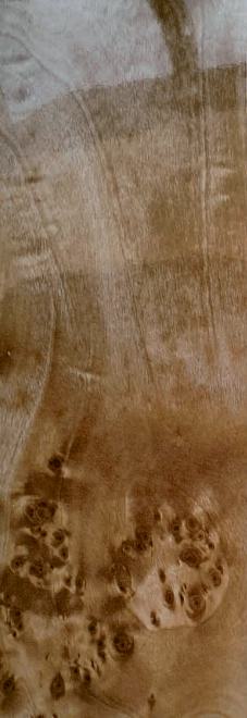 Beach Burl Wood Laminate 8x4 ft High Gloss 0.8 mm - 3200 SHG