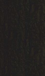 Black Pearl Marble & Stone Laminate 8x4 ft Texture 0.8 mm - 3221 CST